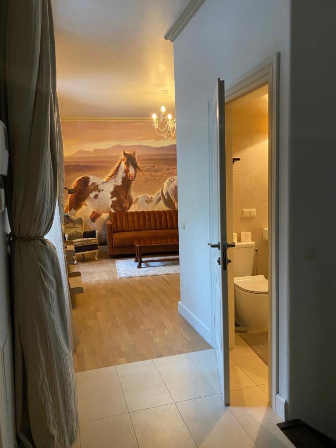 Exclusive Gaono Apartment In The Heart Of Old Town Vilnius Kültér fotó