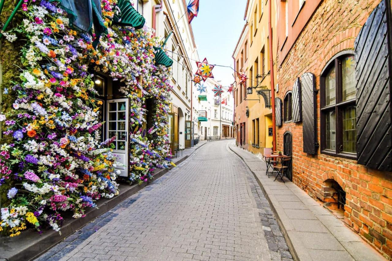 Exclusive Gaono Apartment In The Heart Of Old Town Vilnius Kültér fotó
